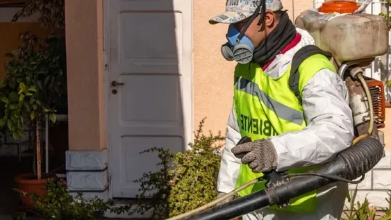 Desinsectación y desratización en Capital.-