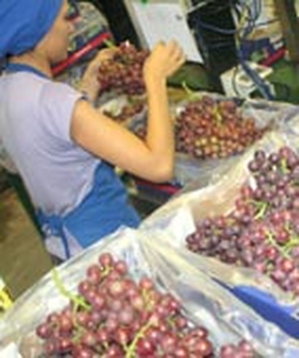 Exportaciones tradicionales de San Juan caen un 21%