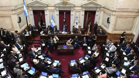 El 31 de marzo se descongelan las dietas de los senadores y desde mayo cobrarían al menos $9 millones en bruto