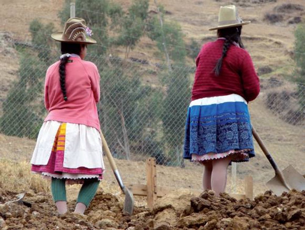 El modelo de los inversores