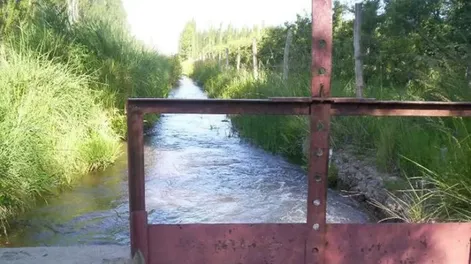 Cuidar el agua debe ser una prioridad en San Juan