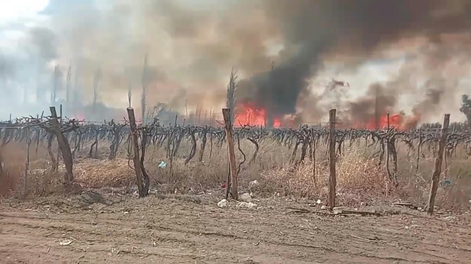 Incendio de parrales.