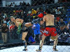 Acción. Los deportes de contacto tendrán un mega festival este domingo en el Aldo Cantoni.
