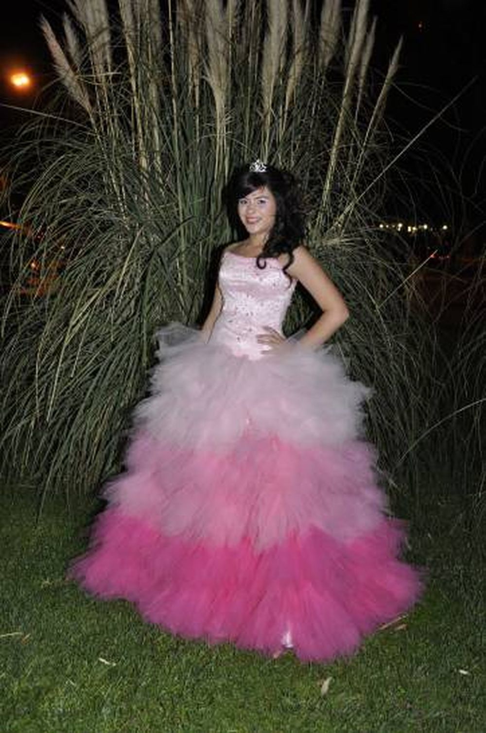 Fiesta de quince para Camila Rosales