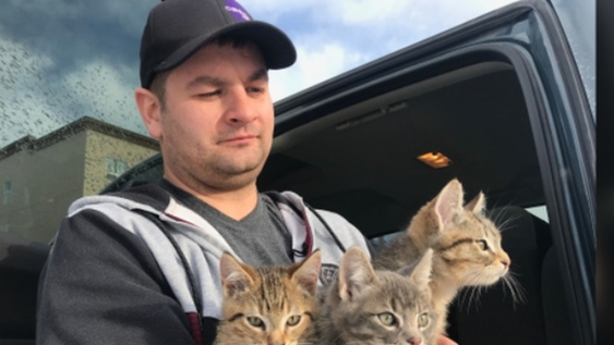 Un hombre halló a 3 gatitos atrapados en el hielo y los rescató con un poco de café