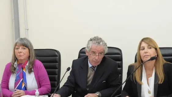 El fallo a favor o no de las PASO, la semana que viene o luego de la feria judicial