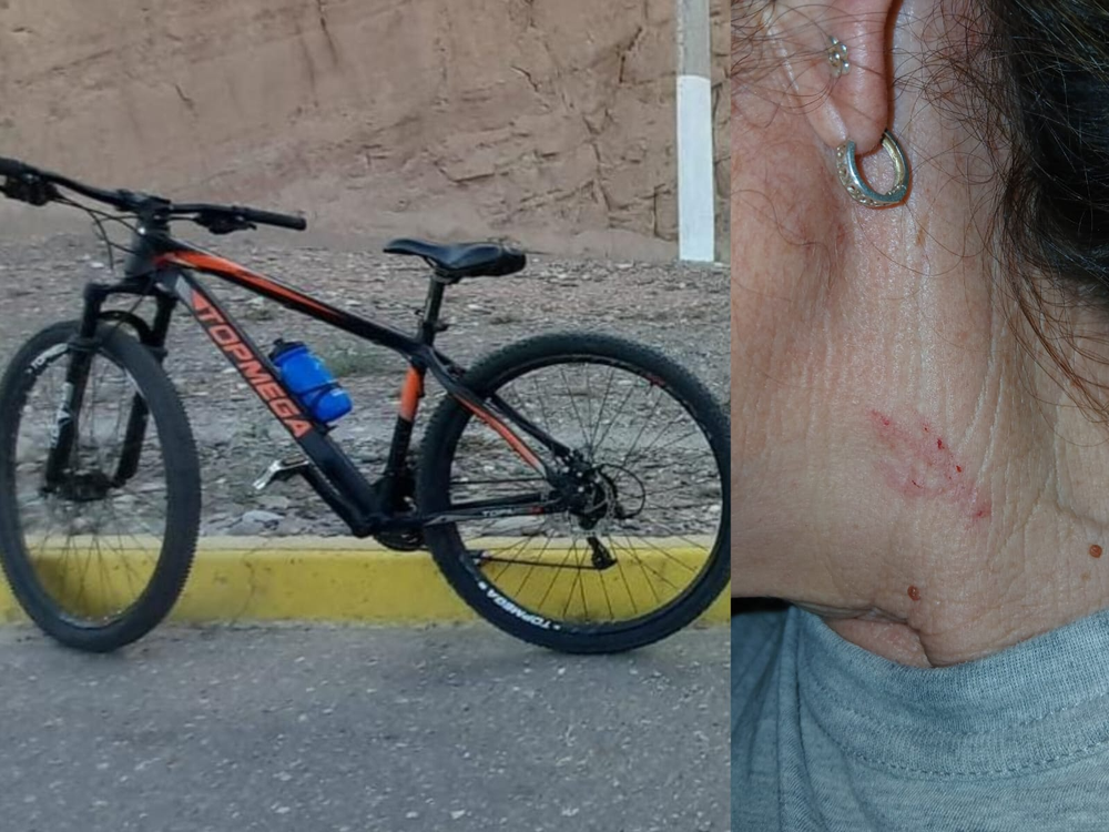 La bicicleta robada y cómo agredieron a la víctima.