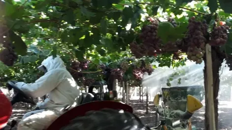 Precipitaciones y granizos, y usos de productos de defensa