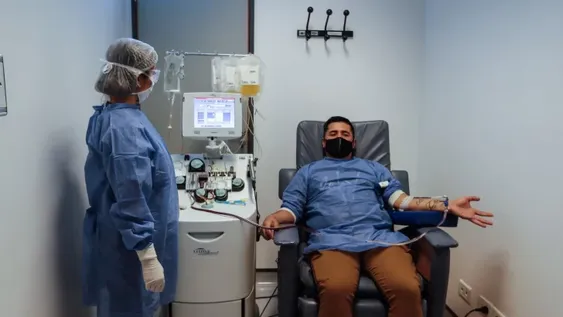 Regulan estrategia de uso de plasma y suero equino en pacientes con Covid-19