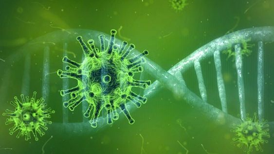 Científicos argentinos determinaron por qué el coronavirus evade las respuestas inmunes