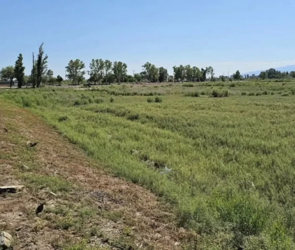 LARGA DATA. La primera norma es de 2015 y luego quedó suspendido, hasta que en julio pasado el municipio insistió.