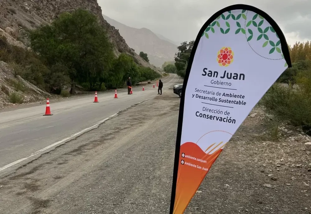 PELIGRO. En las rutas 40, 20 y 510 ocurre la mayor cantidad de casos de atropellamiento de fauna silvestre.