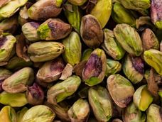 San Juan concentra la mayor superficie de pistacho del país, en un sector que combina productores históricos y nuevos modelos de inversión.