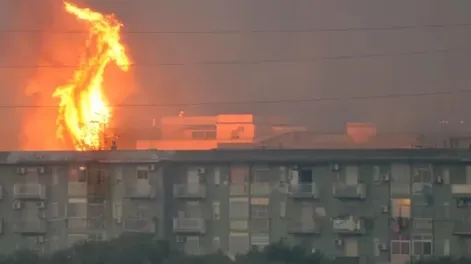 Ola de calor e incendios en el Mediterráneo: ya hay 35 muertos entre Italia, Grecia y Argelia