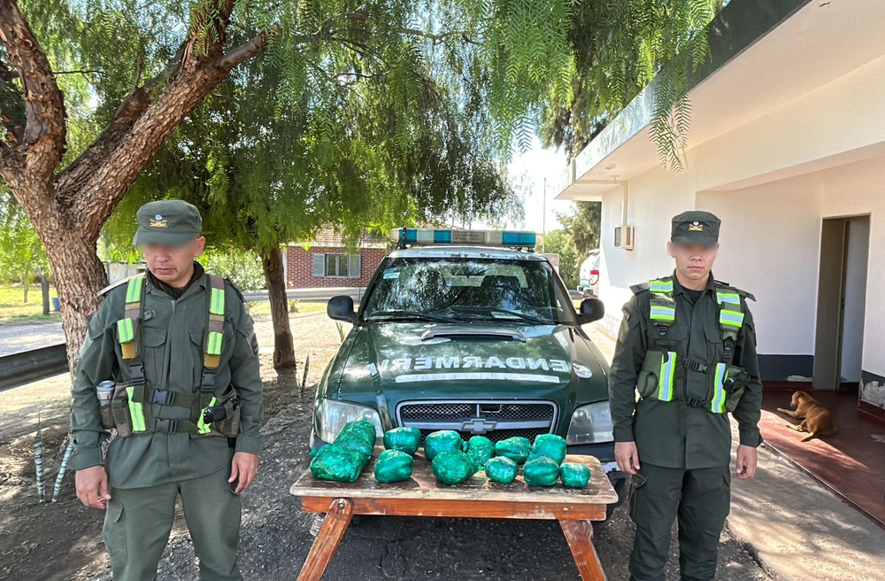 Gendarmería nacional secuestró hojas de coca.