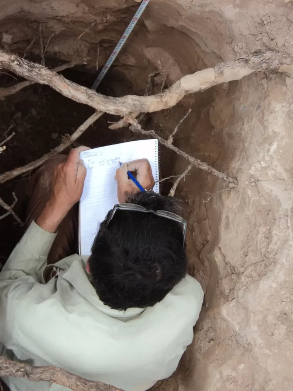 SISINTA: Información pública disponible sobre los suelos