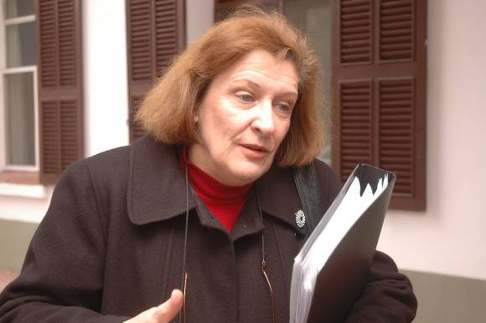 Gripe A: Postergaron una semana el regreso a clases