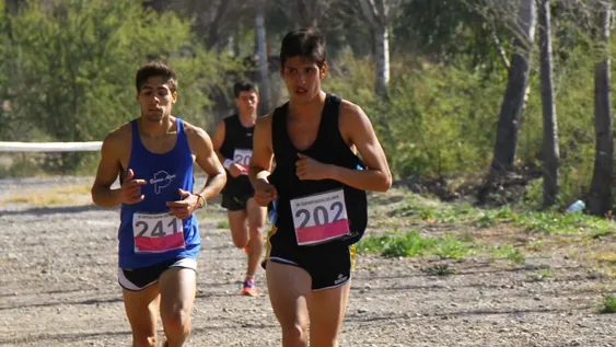 Mañana se corre la 41º edición del Circuito Navidad en Albardón