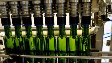 San Juan ya exporta más de U$S 13 millones en aceite a EEUU