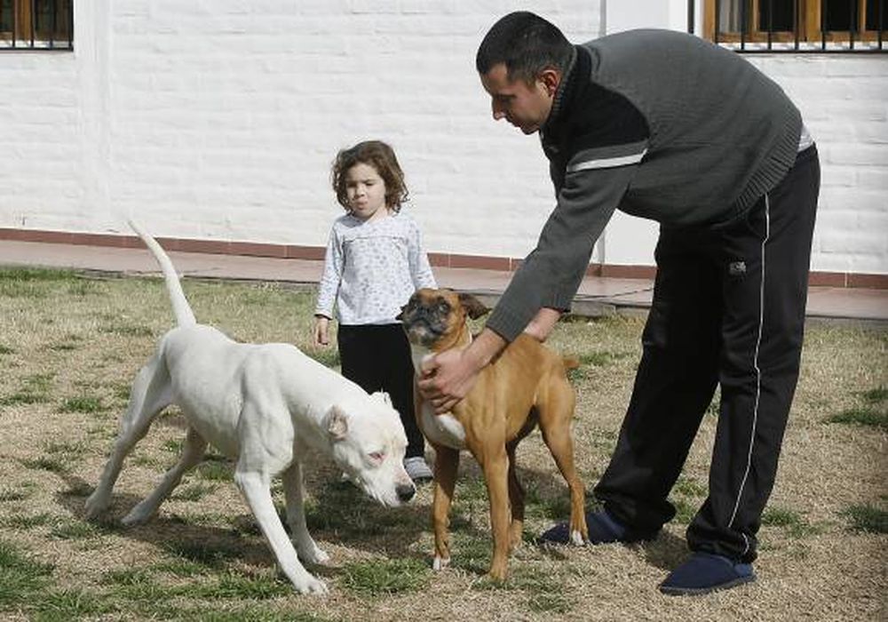 El ladrón hallado como en el cuento de la Cenicienta