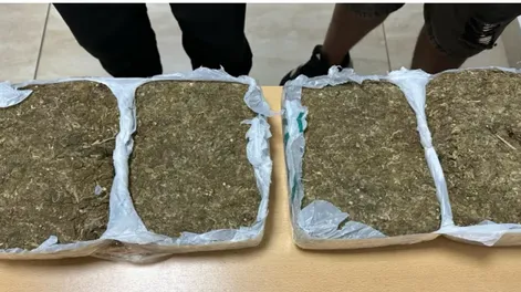 Intentaba llegar a San Juan con más de 4 kilos de marihuana pero los gendarmes la descubrieron