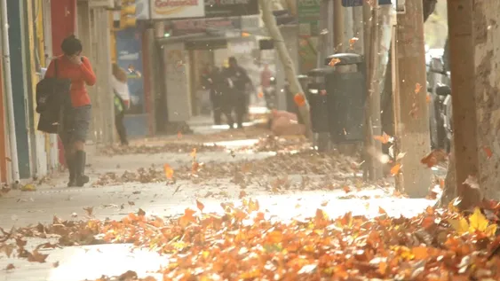 Las recomendaciones de Protección Civil ante el alerta de vientos fuertes