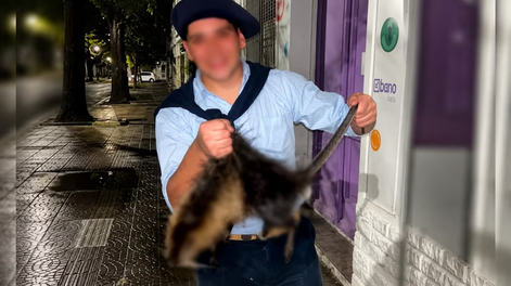 [VIDEO] Repudiable caso de maltrato animal: mataron a patadas a una nutria, se filmaron y fueron denunciados