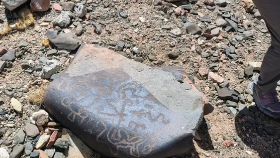 En el Norte del departamento Iglesia un vecino halló nuevos petroglifos.