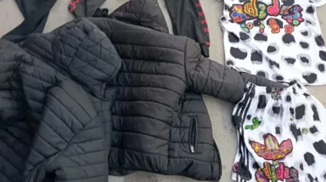 Condenaron a 8 meses de prisión a un sujeto que robó en un local de ropa de Villa Krause