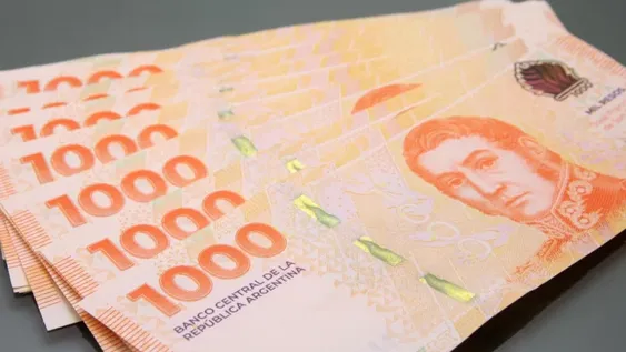 ANSES pagará en enero de 2026 un extra de $108.062 a un grupo de beneficiarios que cobra una importante asignación. ¿A quiénes les corresponde?