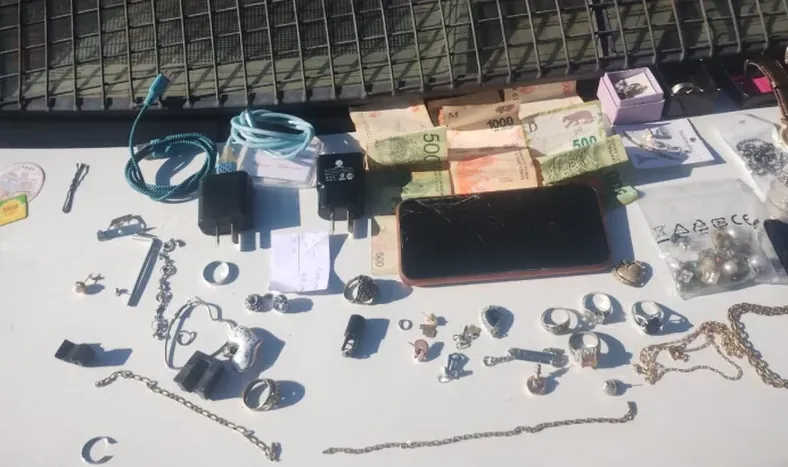 Entró a robar a una vivienda, la alarma alertó a la propietaria y terminó detenido