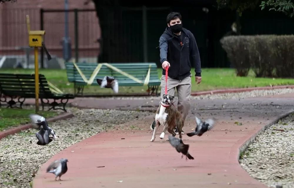 Covid-19 en Argentina: confirmaron 4.192 casos y 46 muertos en las últimas 24 horas