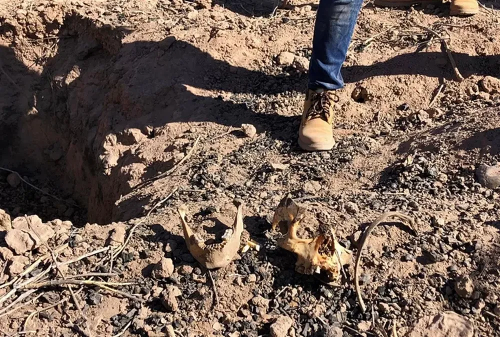 Encontraron 11 fosas clandestinas con 22 cadáveres en el norte de México