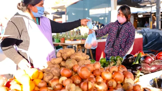 Subieron hasta 50% las verduras y las que traen de afuera aún más