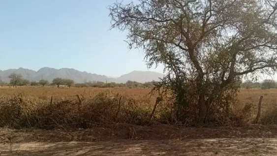 Efectos. La zona más afectada es Colonia de los Valencianos, donde los productores fueron abandonando sus fincas en la última década debido a los costos de energía, ya que regaban con perforaciones.