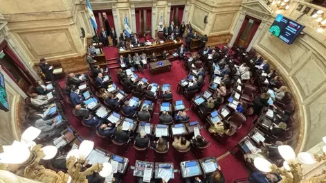 Hubo quórum y se debate el proyecto “Ficha limpia” en el Senado