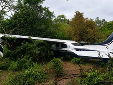 misterio en el chaco salteno: una avioneta se estrello y sus ocupantes escaparon del lugar misterio en el chaco salteno: una avioneta se estrello y sus ocupantes escaparon del lugar