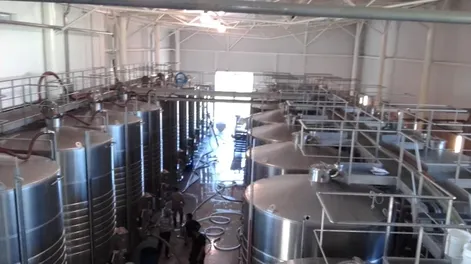 Diario de Cuyo | f1p6verde 728x546.webp