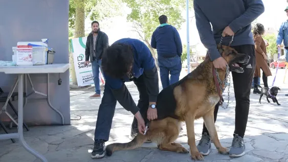 Los vecinos calificaron con un 10 la feria itinerante para las mascotas