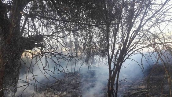 Incendio trágico: murieron un matrimonio y su hijo y hay otros tres heridos