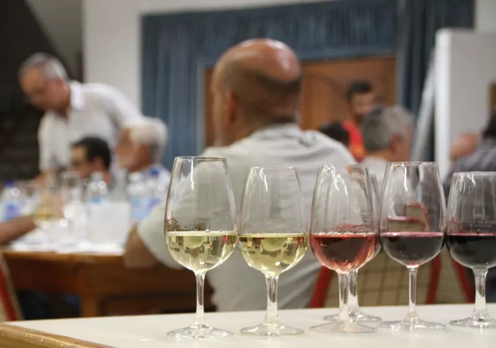 Cata de Vinos: con demora, empiezan con las muestras