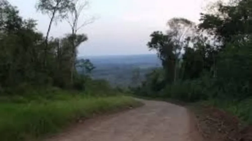 Un político tenía a sus hijastras como esclavas sexuales