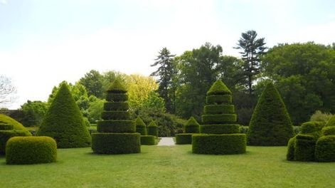 Esculturas verdes