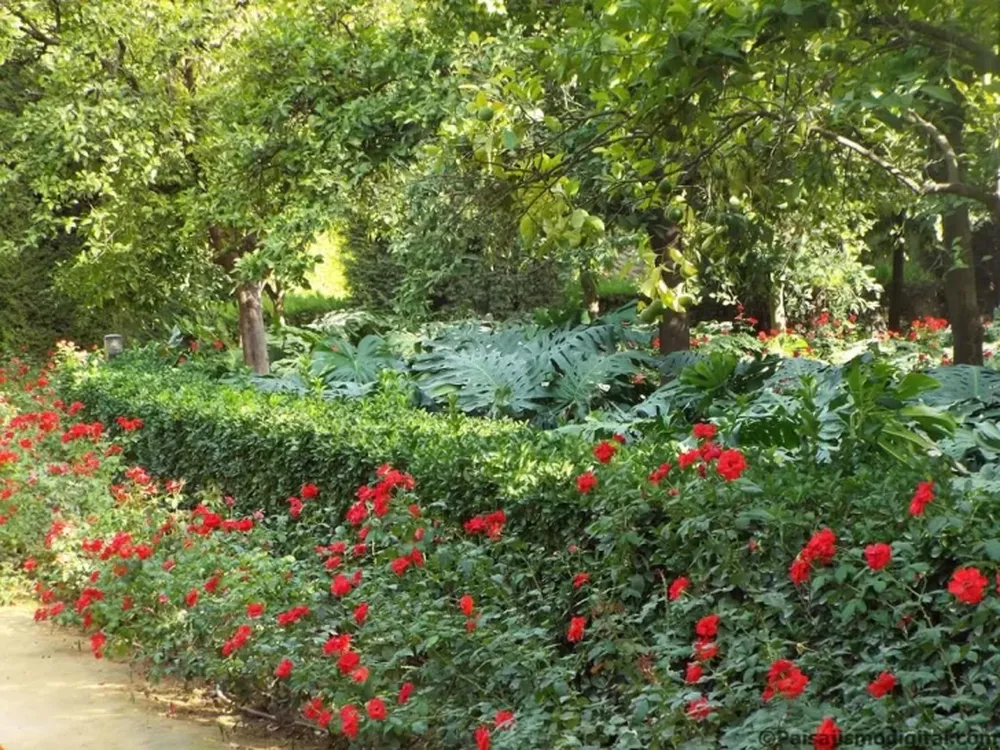 Respeto por la biodiversidad