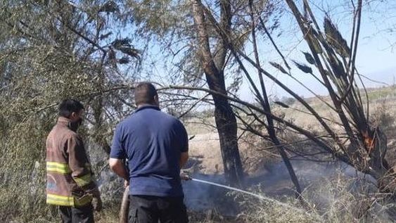Salvaron casas y animales en medio de un incendio en un criadero