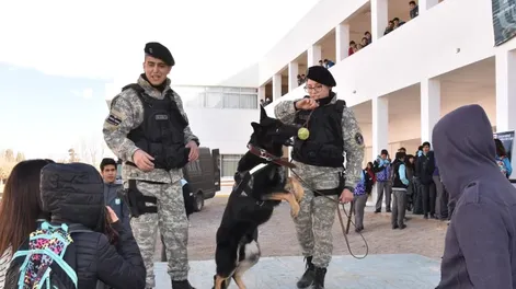 Diario de Cuyo | dcc160722 005f03_crop1657924718170 728x548.webp