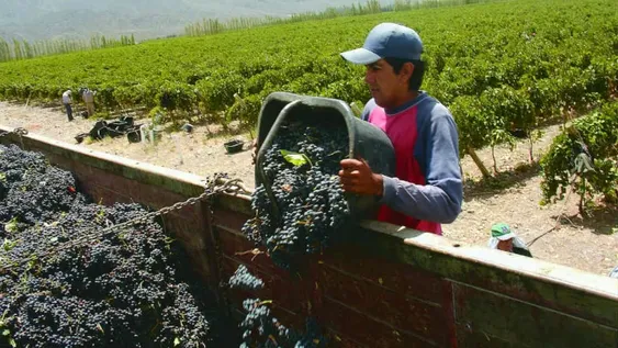 Marcha de la vendimia 2017