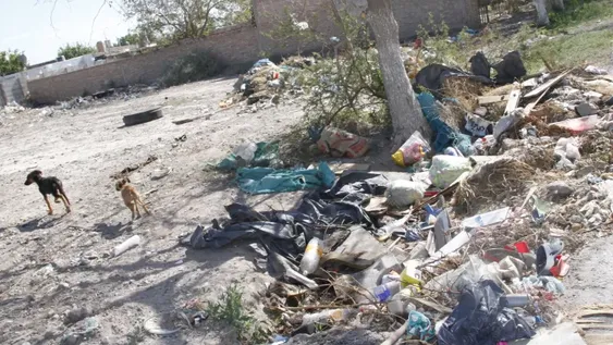 Tras los reiterados casos, Pocito multará a quien tire basura en espacios públicos