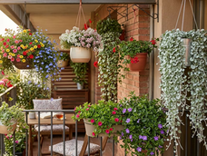 Plantas colgantes: 7 especies ideales para tu balcón Plantas colgantes: 7 especies ideales para tu balcón