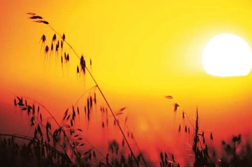 Sábado con 38 grados de máxima en la previa de la “semana infernal”
